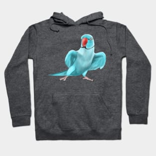 Blue Indian Ringneck Parrot Hoodie